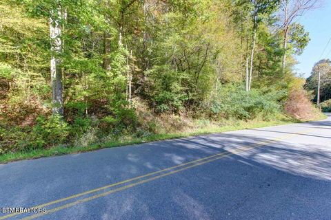Tiny photo for 947 Powdermill Rd, Gatlinburg, TN 37738 (MLS # 1327431)