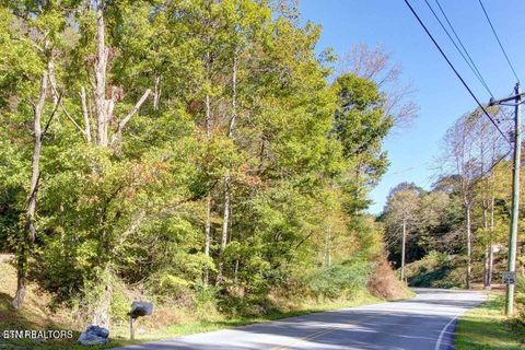 Tiny photo for 947 Powdermill Rd, Gatlinburg, TN 37738 (MLS # 1327431)