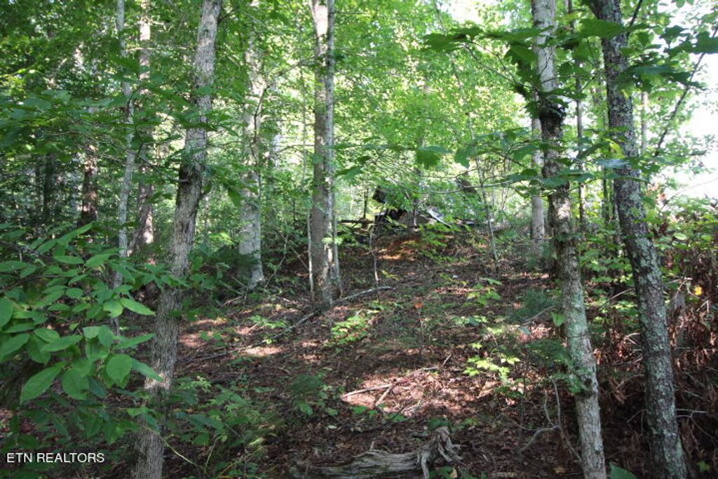 Photo of Rudd Hollow Rd, Townsend, TN 37882 (MLS # 1240340)