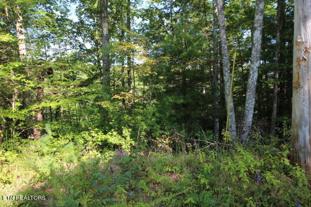 Photo of Rudd Hollow Rd, Townsend, TN 37882 (MLS # 1240340)
