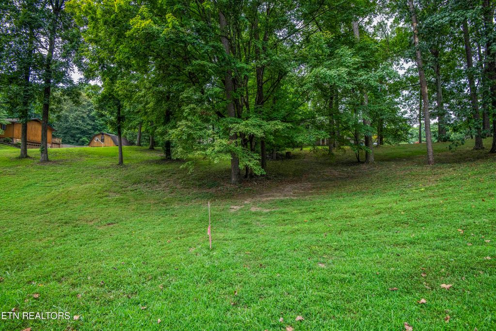 Photo of 9412 Jim Loy Drive, Strawberry Plains, TN 37871 (MLS # 1311825)