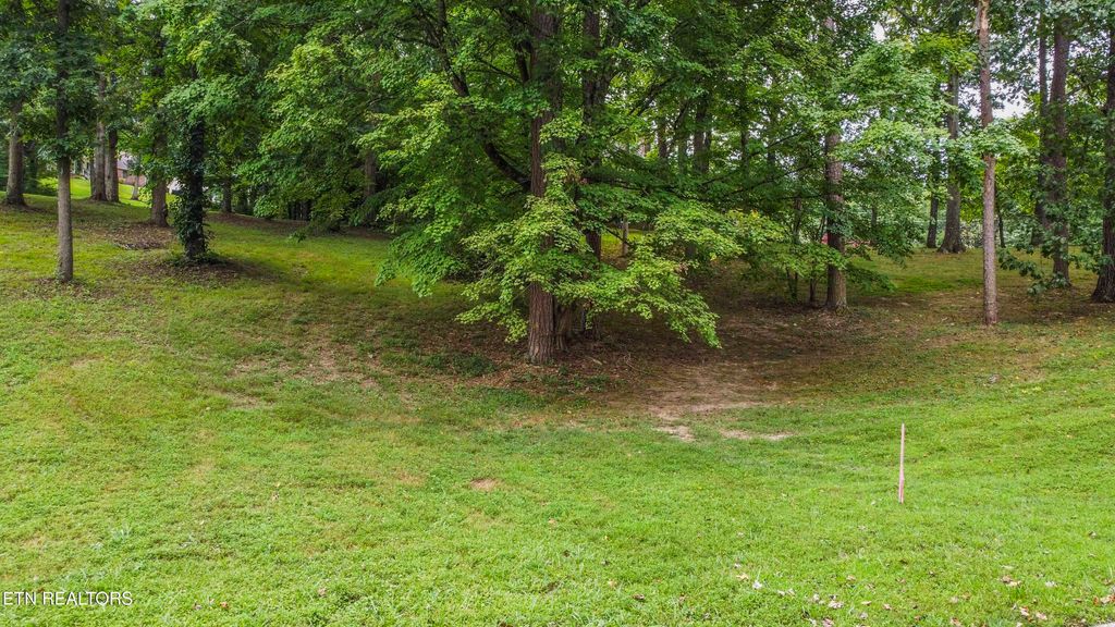 Photo of 9412 Jim Loy Drive, Strawberry Plains, TN 37871 (MLS # 1311825)