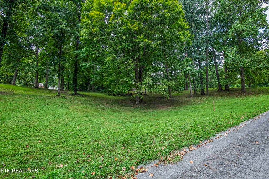 Photo of 9412 Jim Loy Drive, Strawberry Plains, TN 37871 (MLS # 1311825)
