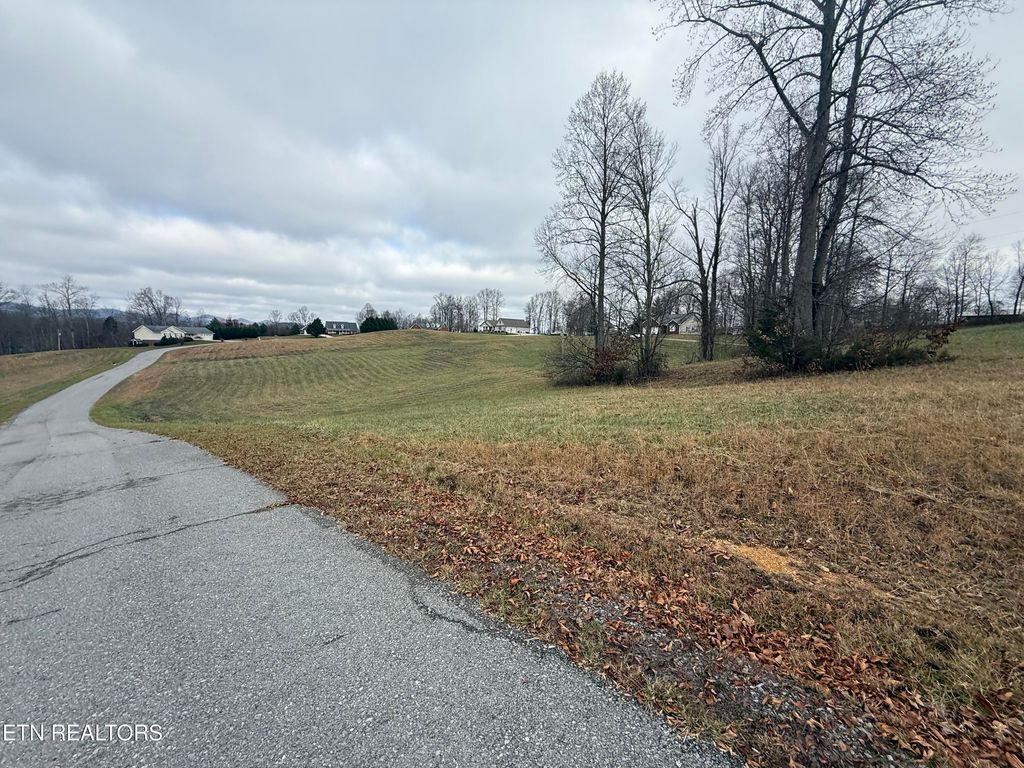 Photo of 28 Oak Point Drive, Jonesville, VA 24263 (MLS # 1323500)