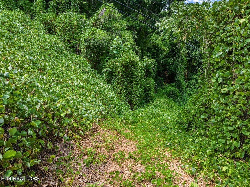 Photo of TBD Highway 66, Rogersville, TN 37857 (MLS # 1328154)