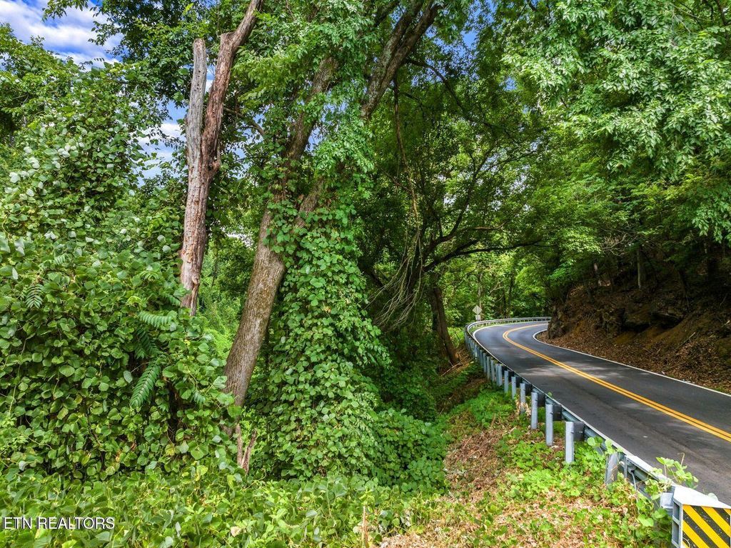 Photo of TBD Highway 66, Rogersville, TN 37857 (MLS # 1328154)