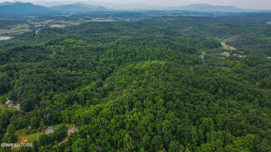 Photo of Looney Rd, Parrottsville, TN 37843 (MLS # 1340849)