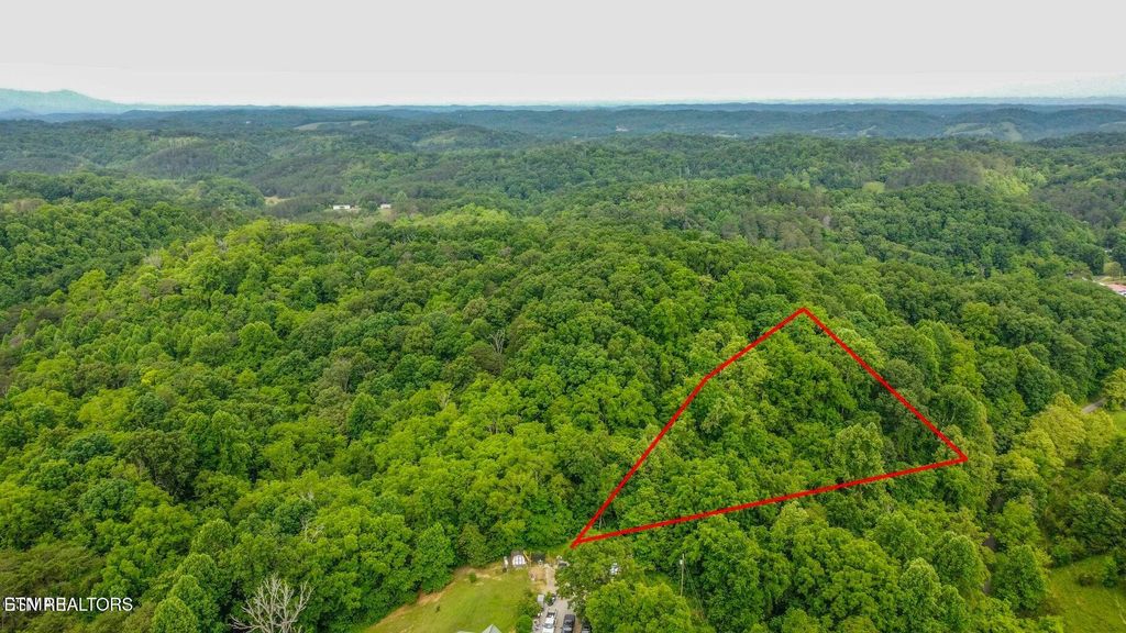 Photo of Looney Rd, Parrottsville, TN 37843 (MLS # 1340849)