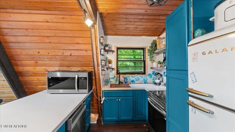 Tiny photo for 120 Mountainwood Loop, Crab Orchard, TN 37723 (MLS # 1317930)
