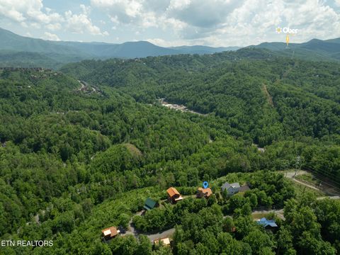 Tiny photo for 1248 Annes Rd, Gatlinburg, TN 37738 (MLS # 1342180)