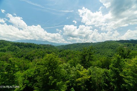 Tiny photo for 1248 Annes Rd, Gatlinburg, TN 37738 (MLS # 1342180)