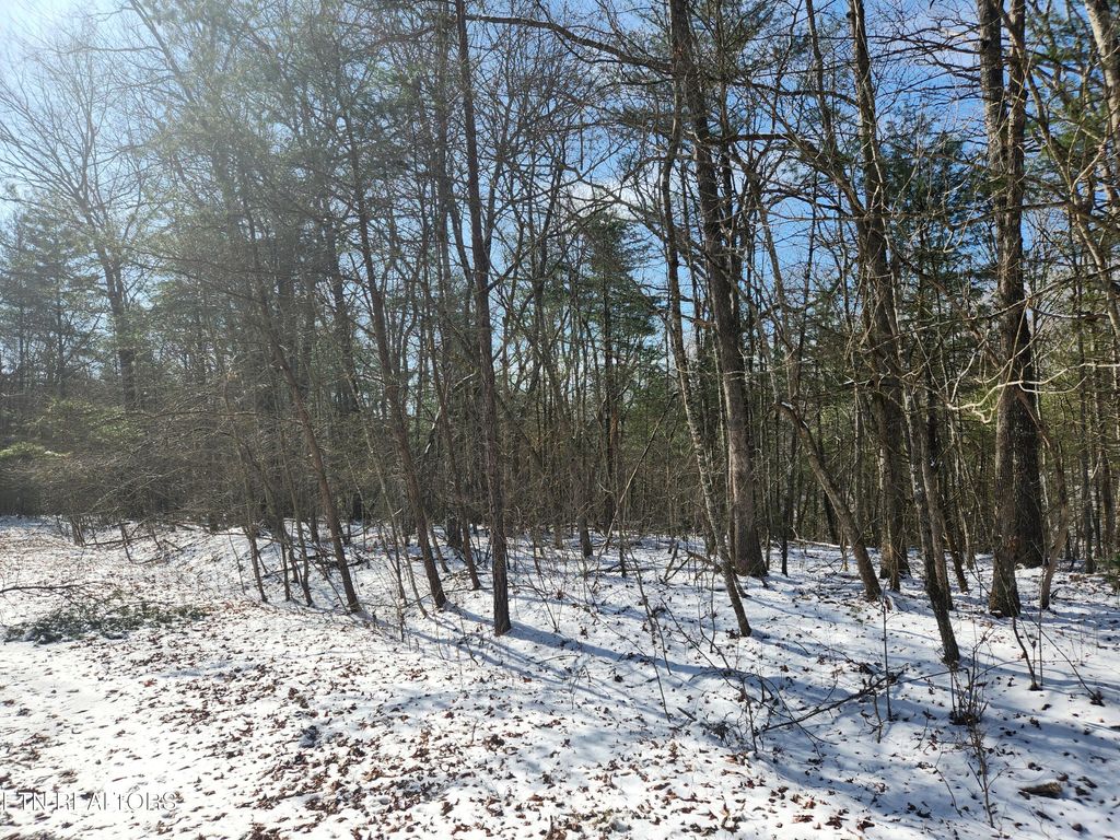 Photo of 219 Newcastle Lane, Crossville, TN 38558 (MLS # 1328386)