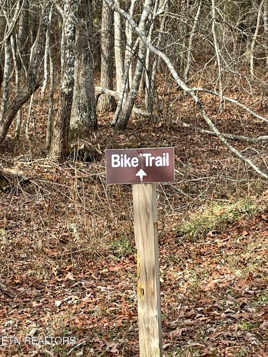 Photo of 219 Newcastle Lane, Crossville, TN 38558 (MLS # 1328386)