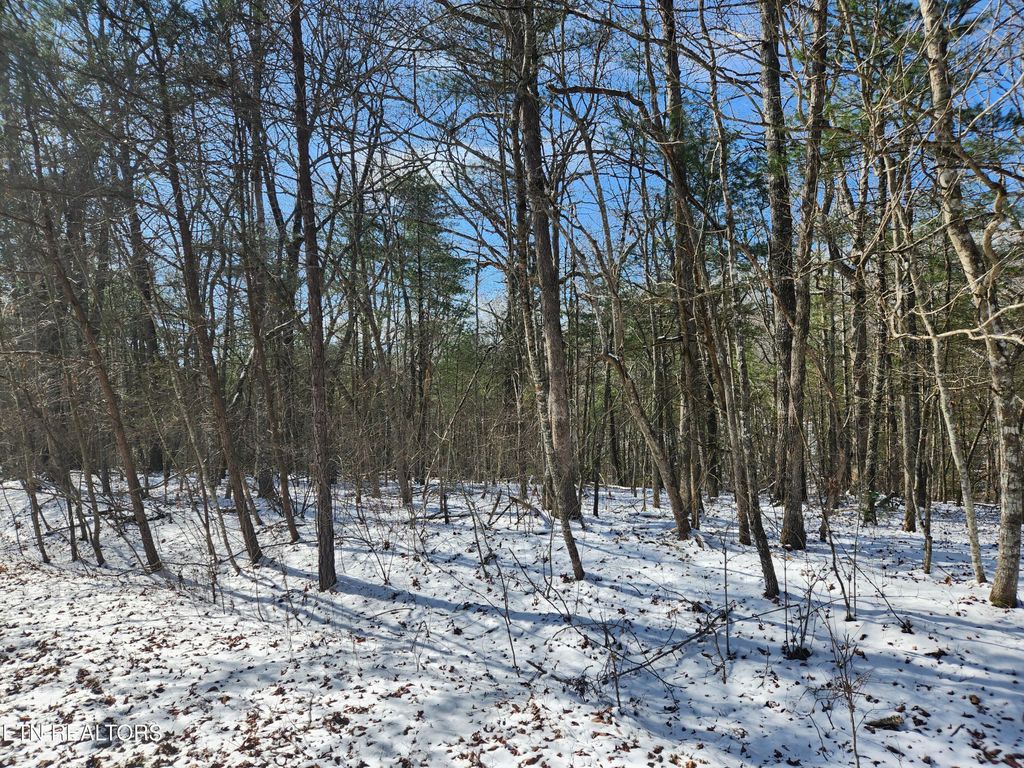 Photo of 219 Newcastle Lane, Crossville, TN 38558 (MLS # 1328386)