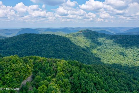 Stanley Creek Rd Winfield TN 37892