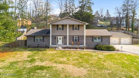 Photo of 612 Woodland Dr Drive, Clinton, TN 37716 (MLS # 1324955)