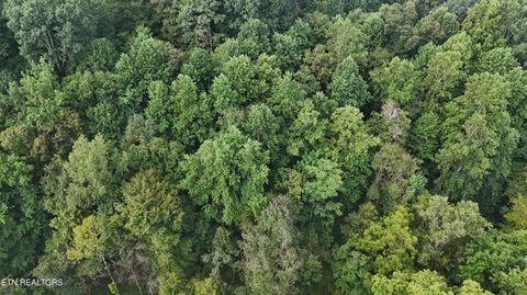 Tiny photo for 000 Seminole Lane, Dayton, TN 37321 (MLS # 1314208)