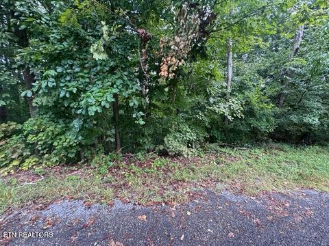 Tiny photo for 000 Seminole Lane, Dayton, TN 37321 (MLS # 1314208)