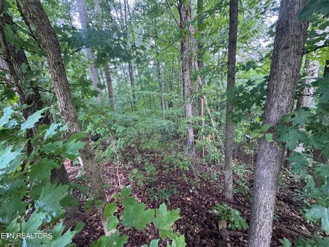 Tiny photo for 000 Seminole Lane, Dayton, TN 37321 (MLS # 1314208)