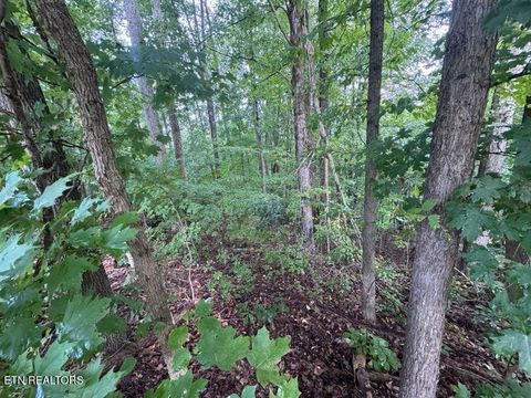 Tiny photo for 000 Seminole Lane, Dayton, TN 37321 (MLS # 1314208)