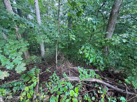 Tiny photo for 000 Seminole Lane, Dayton, TN 37321 (MLS # 1314208)