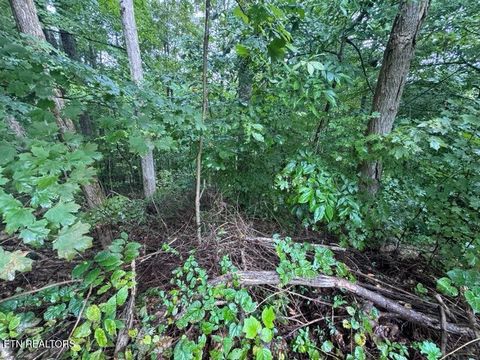 Tiny photo for 000 Seminole Lane, Dayton, TN 37321 (MLS # 1314208)