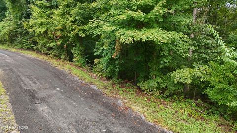 Tiny photo for 000 Seminole Lane, Dayton, TN 37321 (MLS # 1314208)