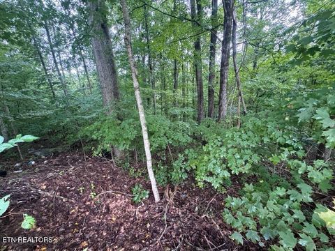 Tiny photo for 000 Seminole Lane, Dayton, TN 37321 (MLS # 1314208)