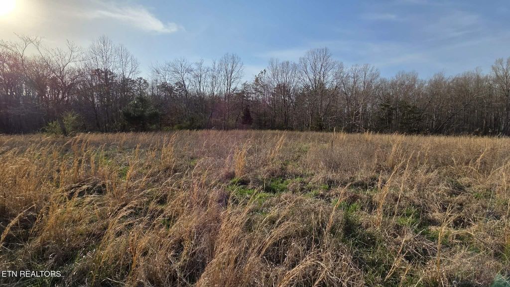 Photo of W End Rd, Rockwood, TN 37854 (MLS # 1332946)
