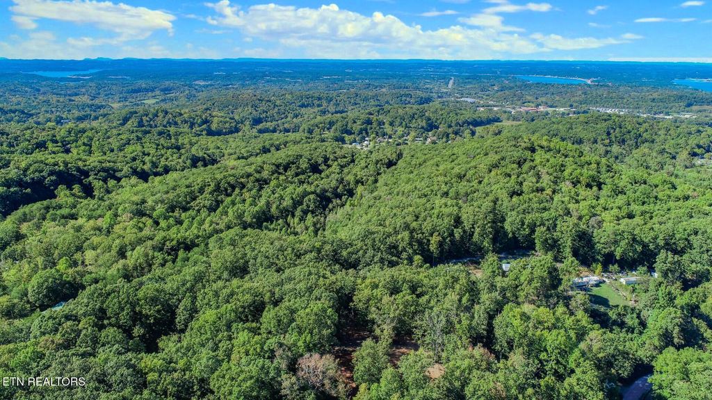 Photo of 133 Huffman Way Way, Newport, TN 37821 (MLS # 1318295)