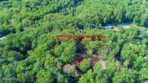 Photo of 133 Huffman Way Way, Newport, TN 37821 (MLS # 1318295)