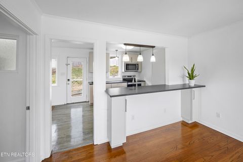 Tiny photo for 957 Bluff View Rd, Knoxville, TN 37919 (MLS # 1333136)