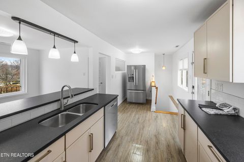 Tiny photo for 957 Bluff View Rd, Knoxville, TN 37919 (MLS # 1333136)