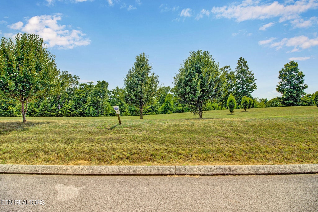 Photo of 336 Hidden Forest Tr, Spring City, TN 37381 (MLS # 1268227)