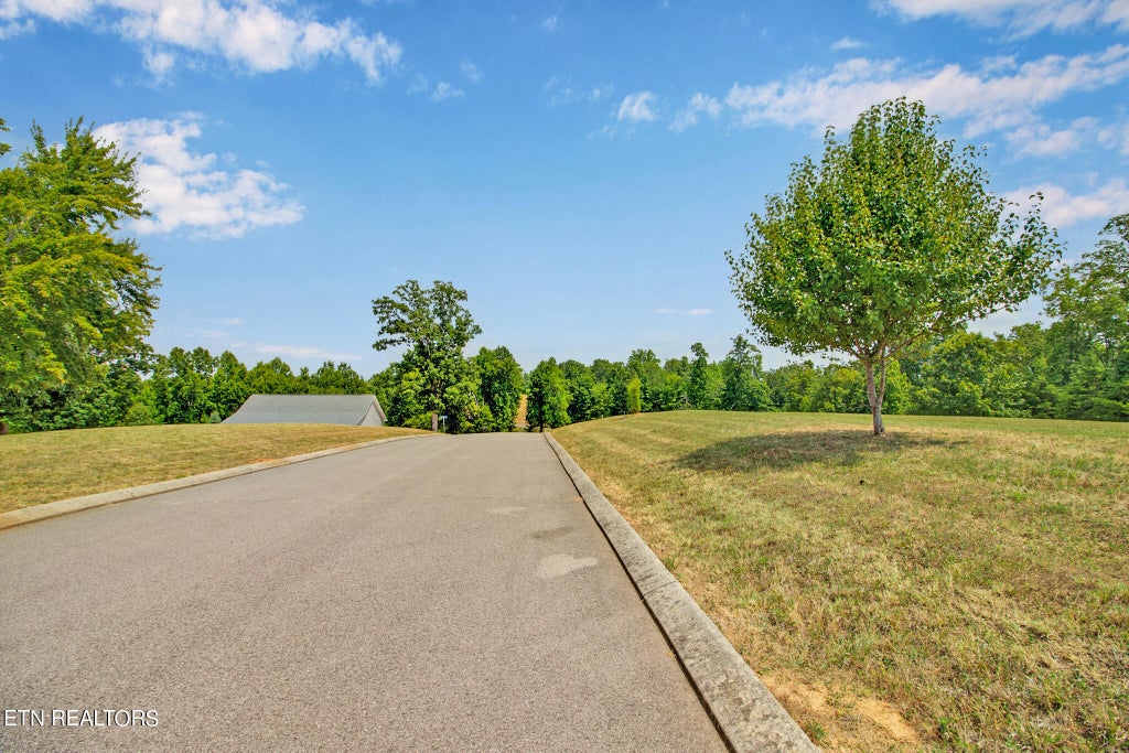 Photo of 336 Hidden Forest Tr, Spring City, TN 37381 (MLS # 1268227)