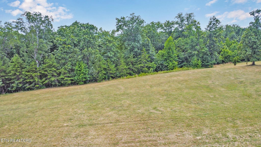 Photo of 336 Hidden Forest Tr, Spring City, TN 37381 (MLS # 1268227)