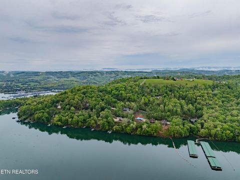 Tiny photo for Sapphire Court, New Tazewell, TN 37825 (MLS # 1298825)