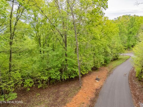 Tiny photo for Sapphire Court, New Tazewell, TN 37825 (MLS # 1298825)