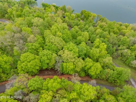 Tiny photo for Sapphire Court, New Tazewell, TN 37825 (MLS # 1298825)