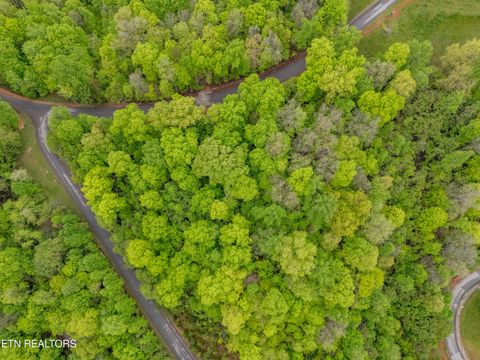 Tiny photo for Sapphire Court, New Tazewell, TN 37825 (MLS # 1298825)
