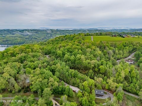 Tiny photo for Sapphire Court, New Tazewell, TN 37825 (MLS # 1298825)