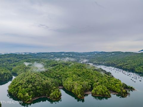 Tiny photo for Sapphire Court, New Tazewell, TN 37825 (MLS # 1298825)