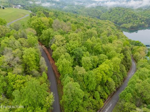 Tiny photo for Sapphire Court, New Tazewell, TN 37825 (MLS # 1298825)