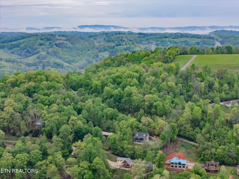 Tiny photo for Sapphire Court, New Tazewell, TN 37825 (MLS # 1298825)