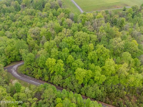 Tiny photo for Sapphire Court, New Tazewell, TN 37825 (MLS # 1298825)