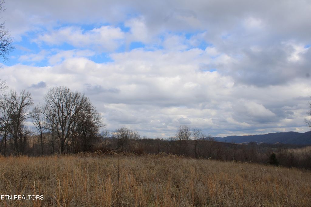 Photo of Water Tower Lane, Tazewell, TN 37879 (MLS # 1248778)