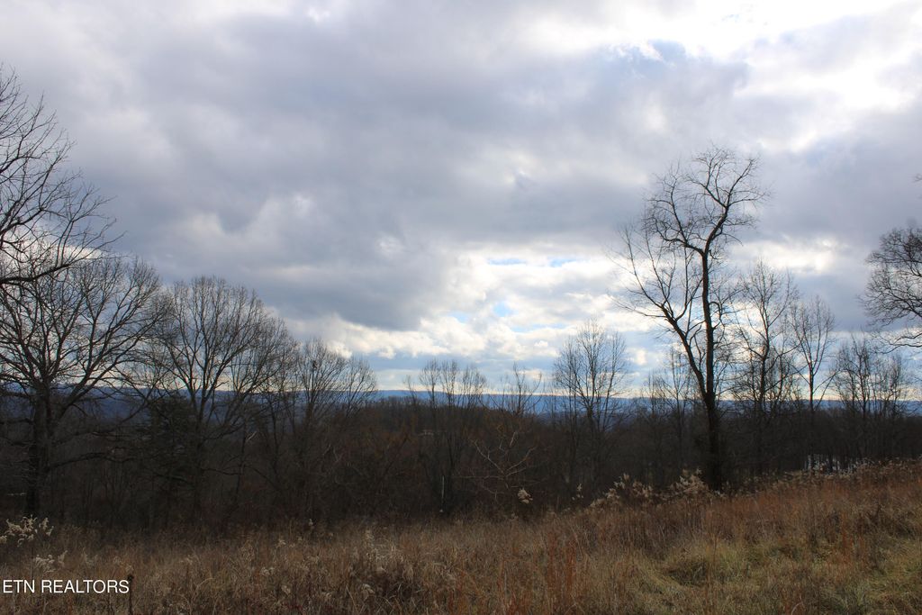 Photo of Water Tower Lane, Tazewell, TN 37879 (MLS # 1248778)