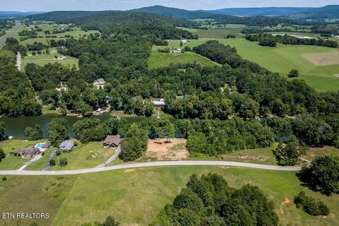 Tiny photo for 179 River Front Drive, Sparta, TN 38583 (MLS # 1332198)