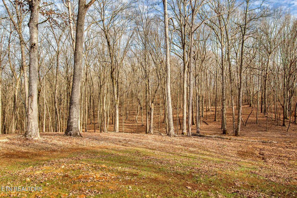 Photo of 362 Flip Flop Way, Loudon, TN 37774 (MLS # 1328206)