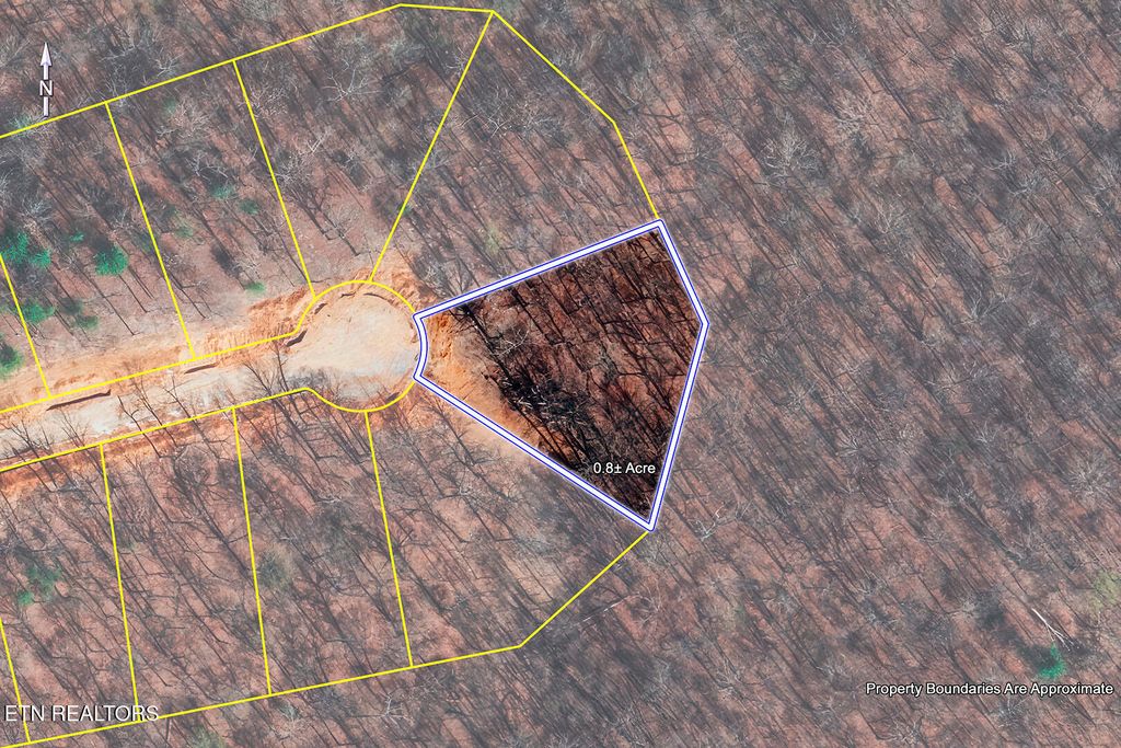 Photo of 362 Flip Flop Way, Loudon, TN 37774 (MLS # 1328206)